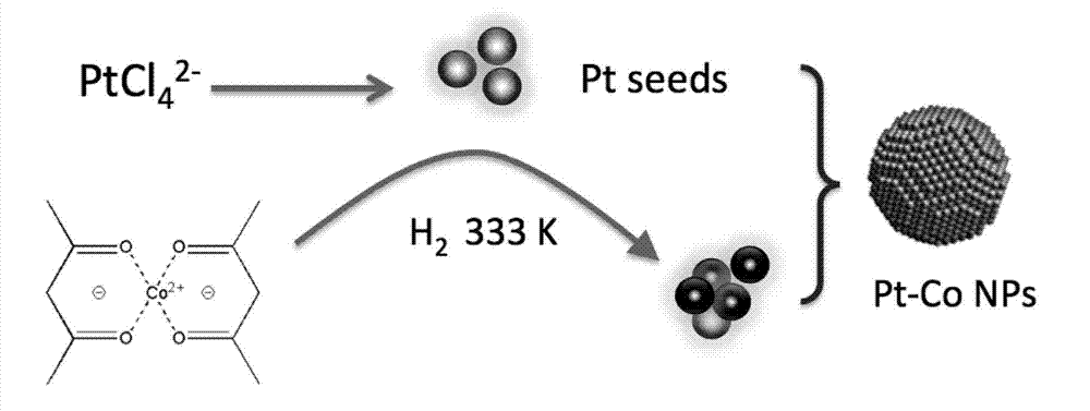 Method for directly synthesizing Pt-Co bimetallic nanoparticles utilizing water phase and application