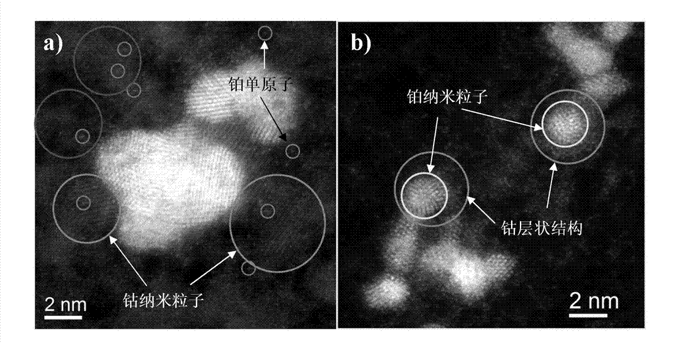 Method for directly synthesizing Pt-Co bimetallic nanoparticles utilizing water phase and application