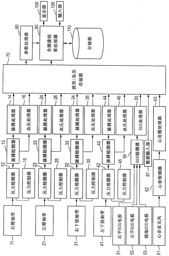 Biological information displaying apparatus and biological information displaying method