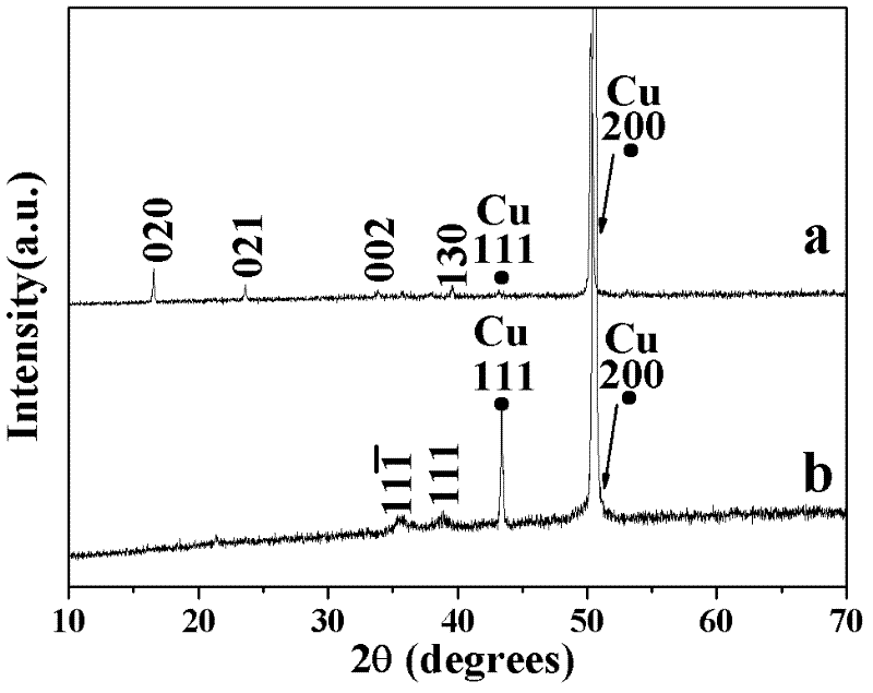 Method for preparing electrode material CuO (cupric oxide) film of lithium ion battery on copper substrate