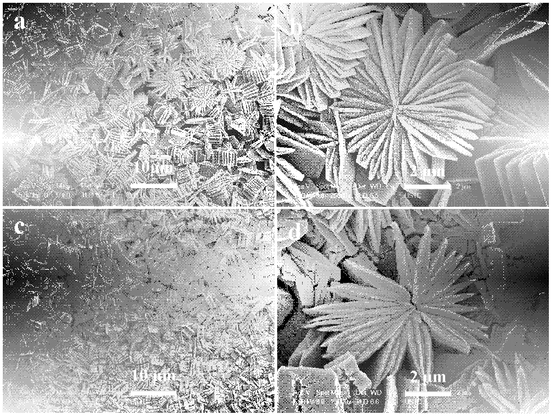 Method for preparing electrode material CuO (cupric oxide) film of lithium ion battery on copper substrate