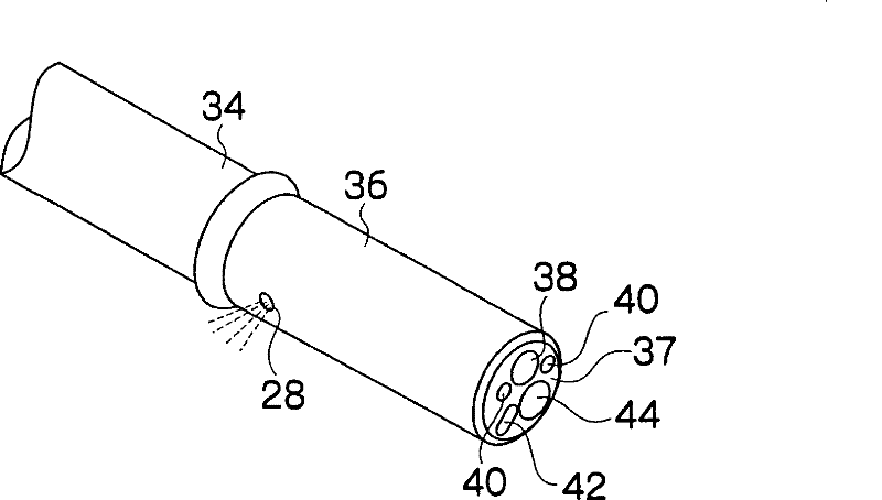 Insert assisting appliance of endoscope and endoscope apparatus