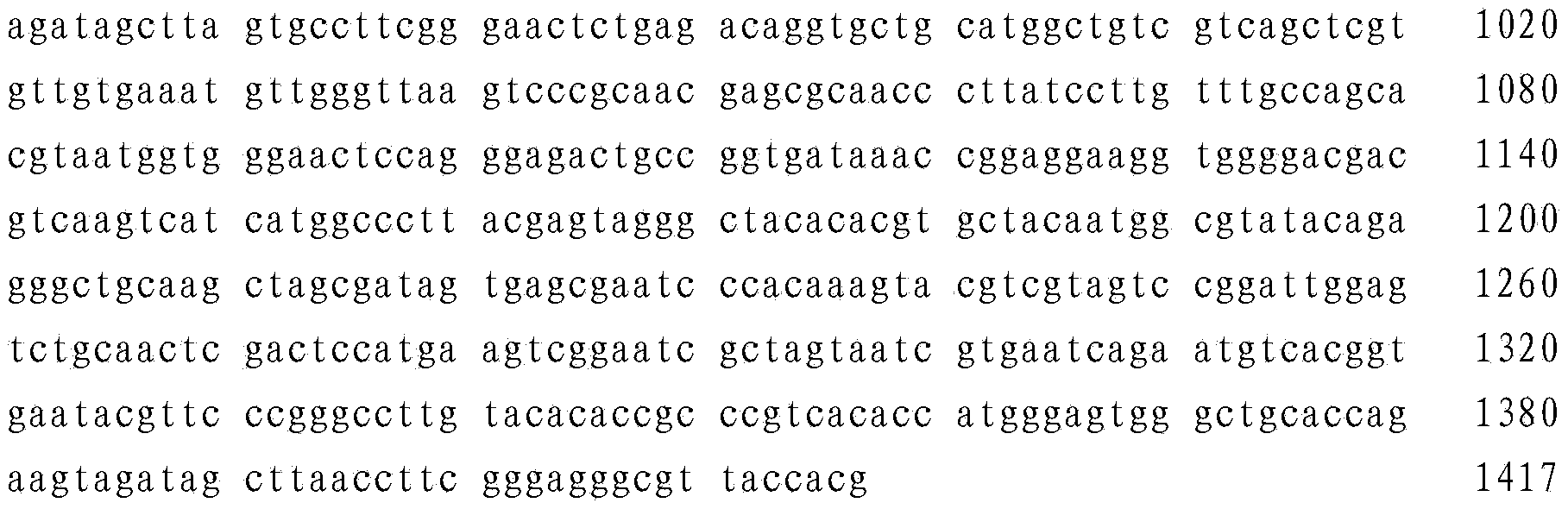 Photobacterium phosphoreum and application thereof