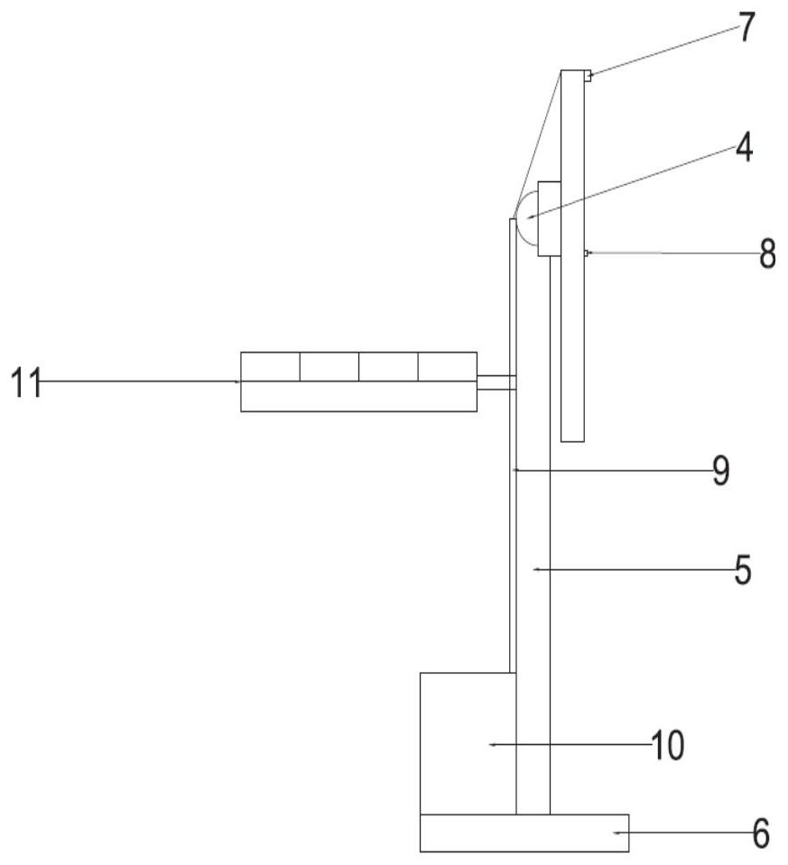 Sunlight lighting device and tunnel lighting system