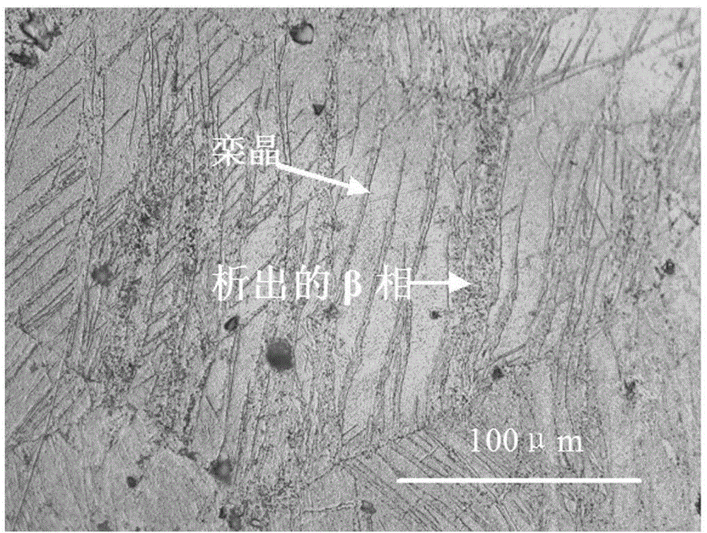 Thermo-mechanical treatment strengthening technology of magnesium alloy sheet