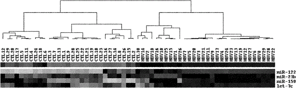 Serum miRNA composition for detecting occult hepatitis B and applications thereof