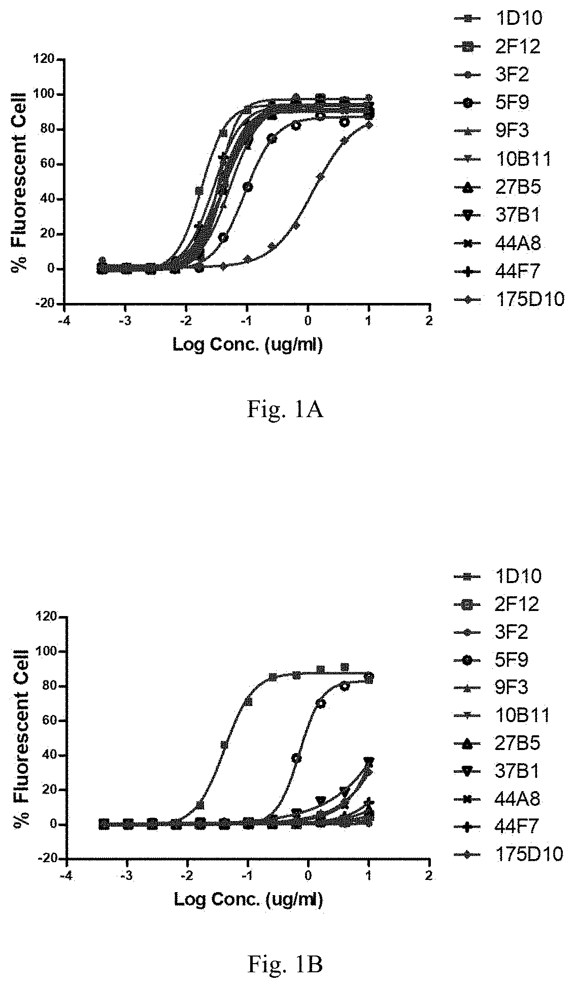 Anti-cldn18.2 antibody and uses thereof