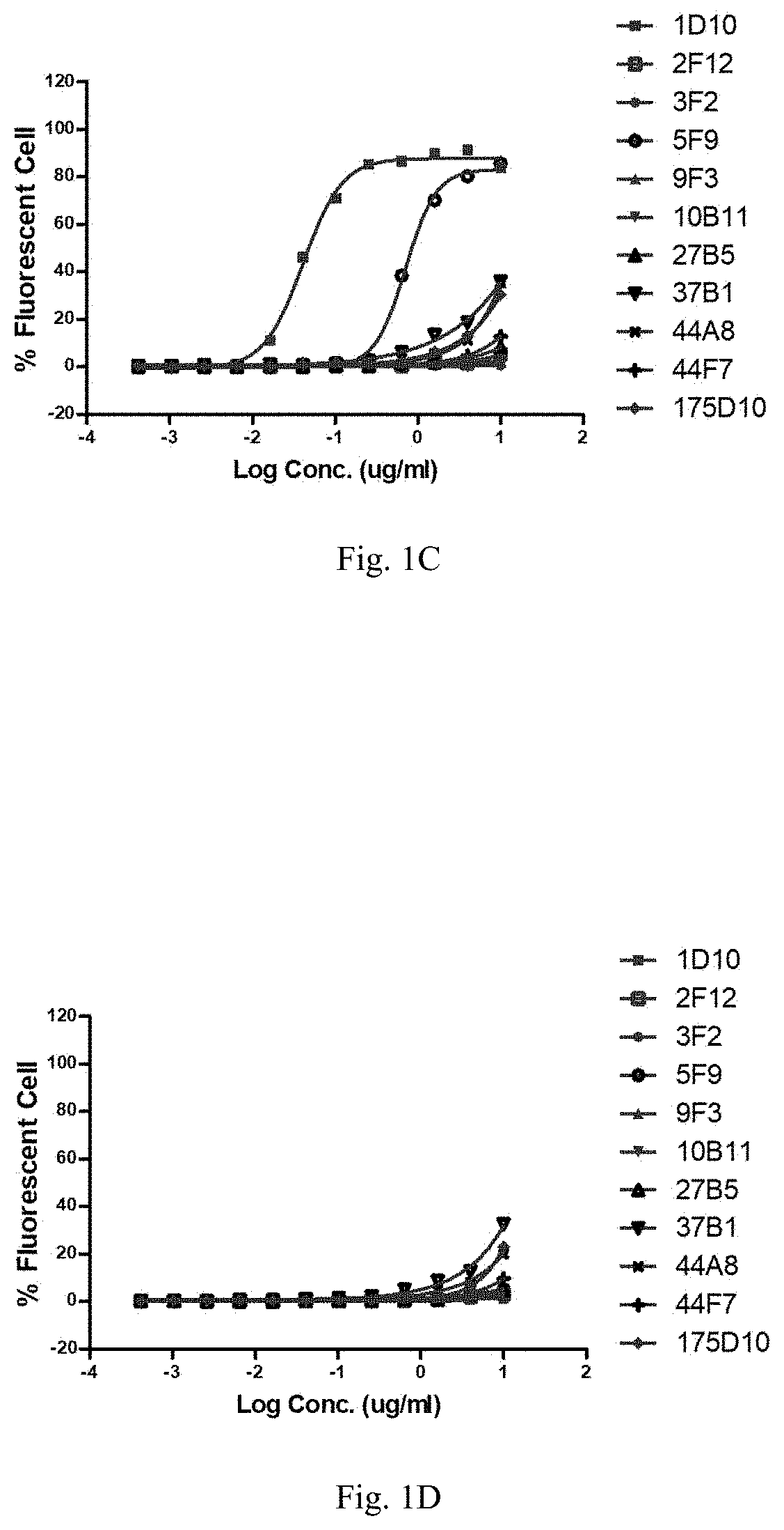 Anti-cldn18.2 antibody and uses thereof