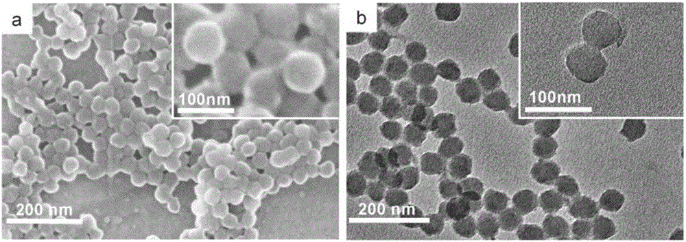 Application of macromolecule-based infrared absorption material to preparation of full-macromolecule heat-insulating film