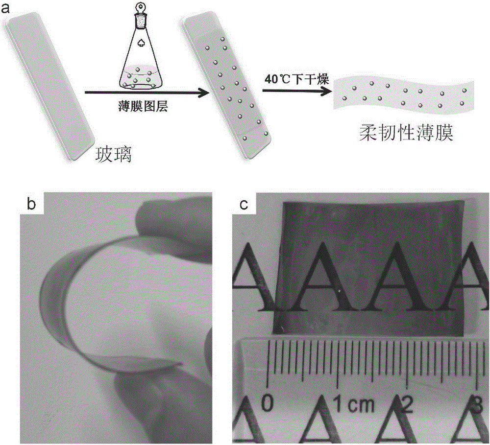 Application of macromolecule-based infrared absorption material to preparation of full-macromolecule heat-insulating film