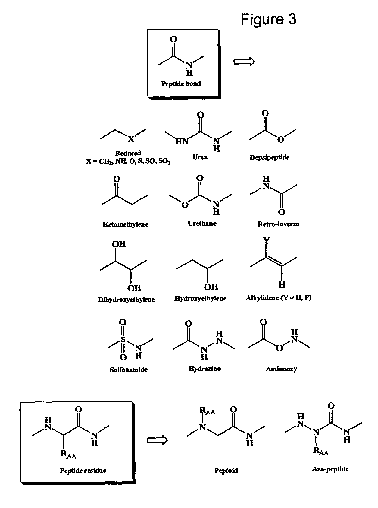 Spatially-defined macrocycles incorporating peptide bond surrogates