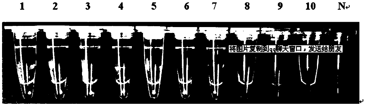 Visual LAMP detection kit for streptococcic mastitis pathogenic bacteria