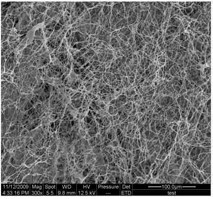 Preparation method of biomass cellulose nanofibers with high length-diameter ratio