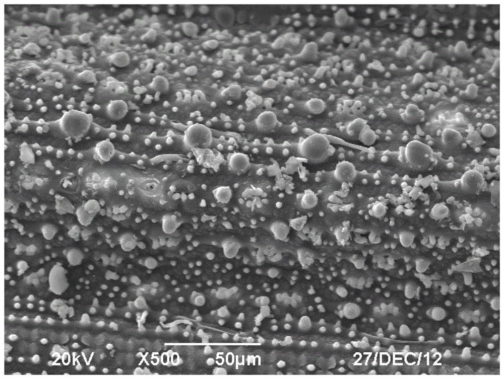 Method for treating lignocellulosic biomass with ammonia combined with dilute alkali and normal pressure