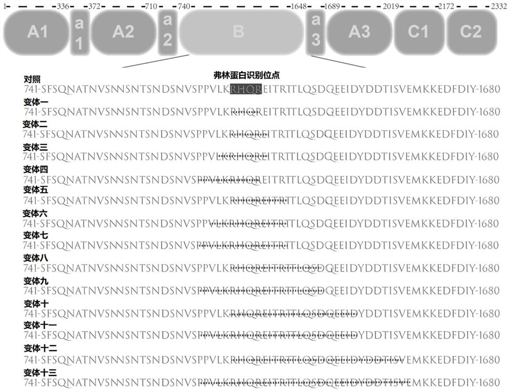 F8 protein variant and gene therapy vector prepared by using same