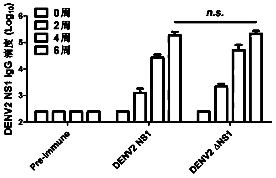 A kind of preparation method and application of dengue fever double-effect vaccine