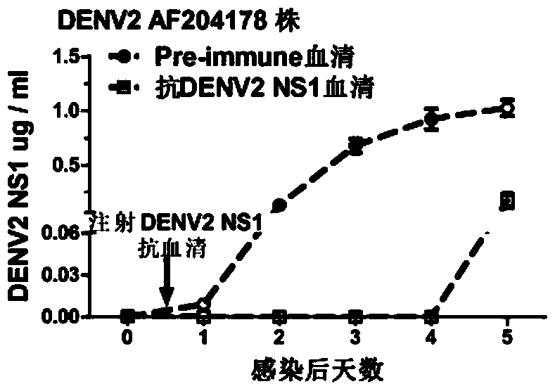 A kind of preparation method and application of dengue fever double-effect vaccine