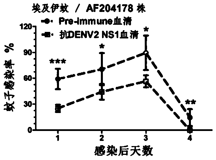 A kind of preparation method and application of dengue fever double-effect vaccine