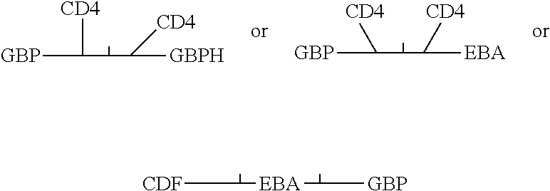 Anti-viral fusion peptides