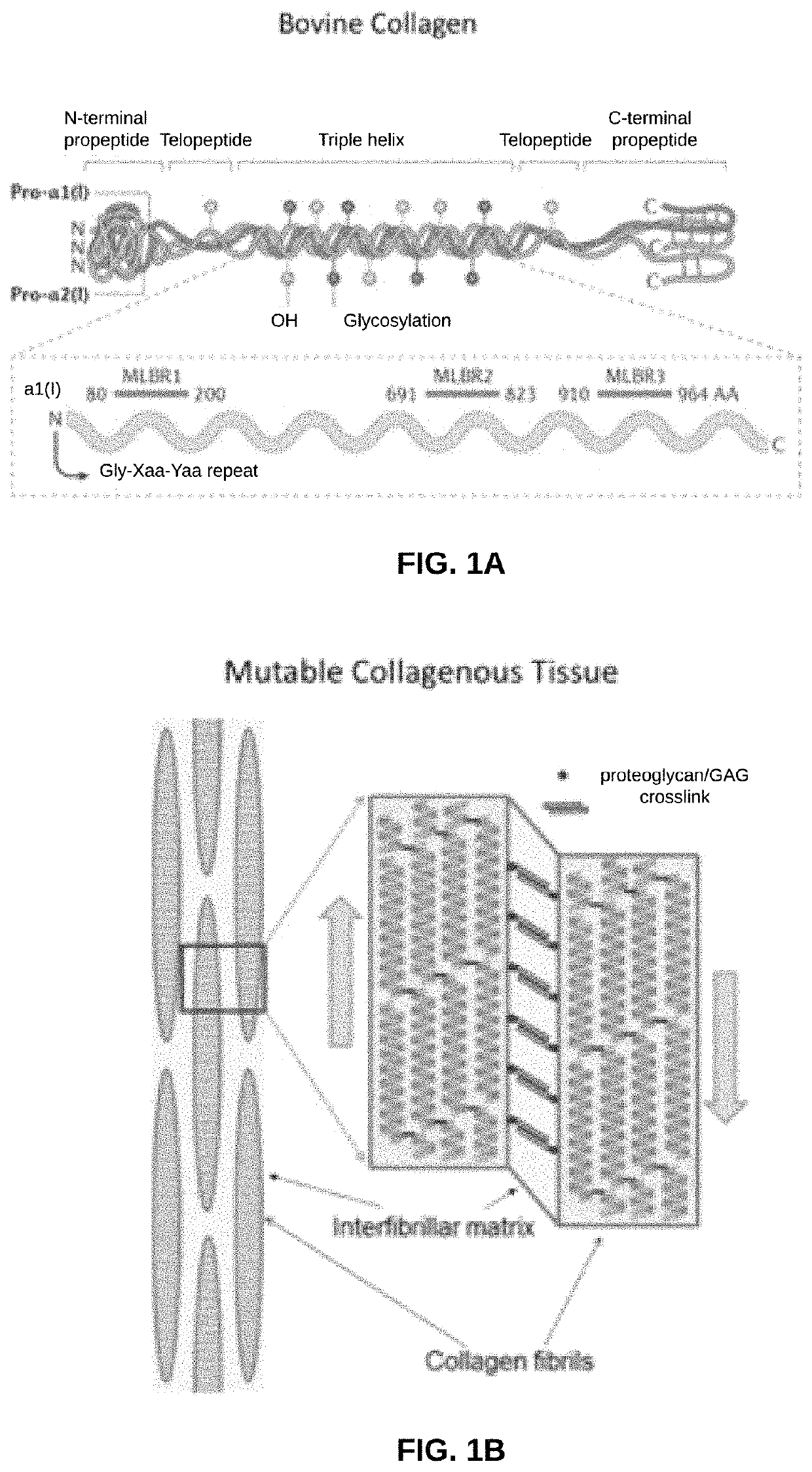 Biomaterial devices and topical compositions for guided tissue regeneration