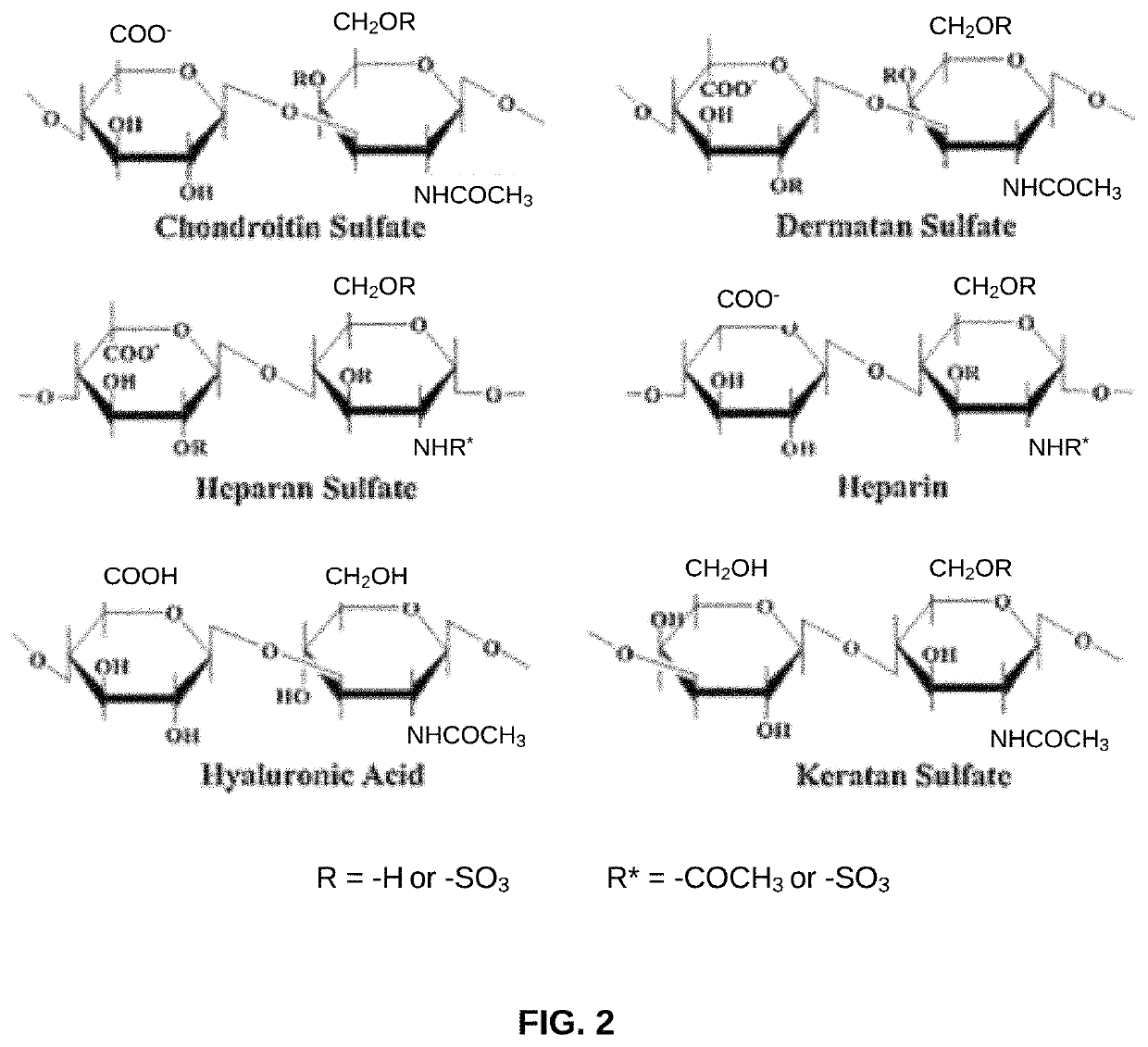 Biomaterial devices and topical compositions for guided tissue regeneration