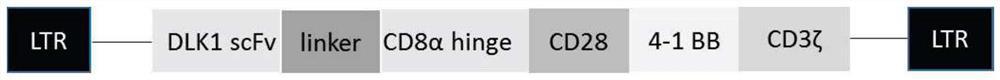 Car-t construction method targeting liver cancer-associated antigen dlk1