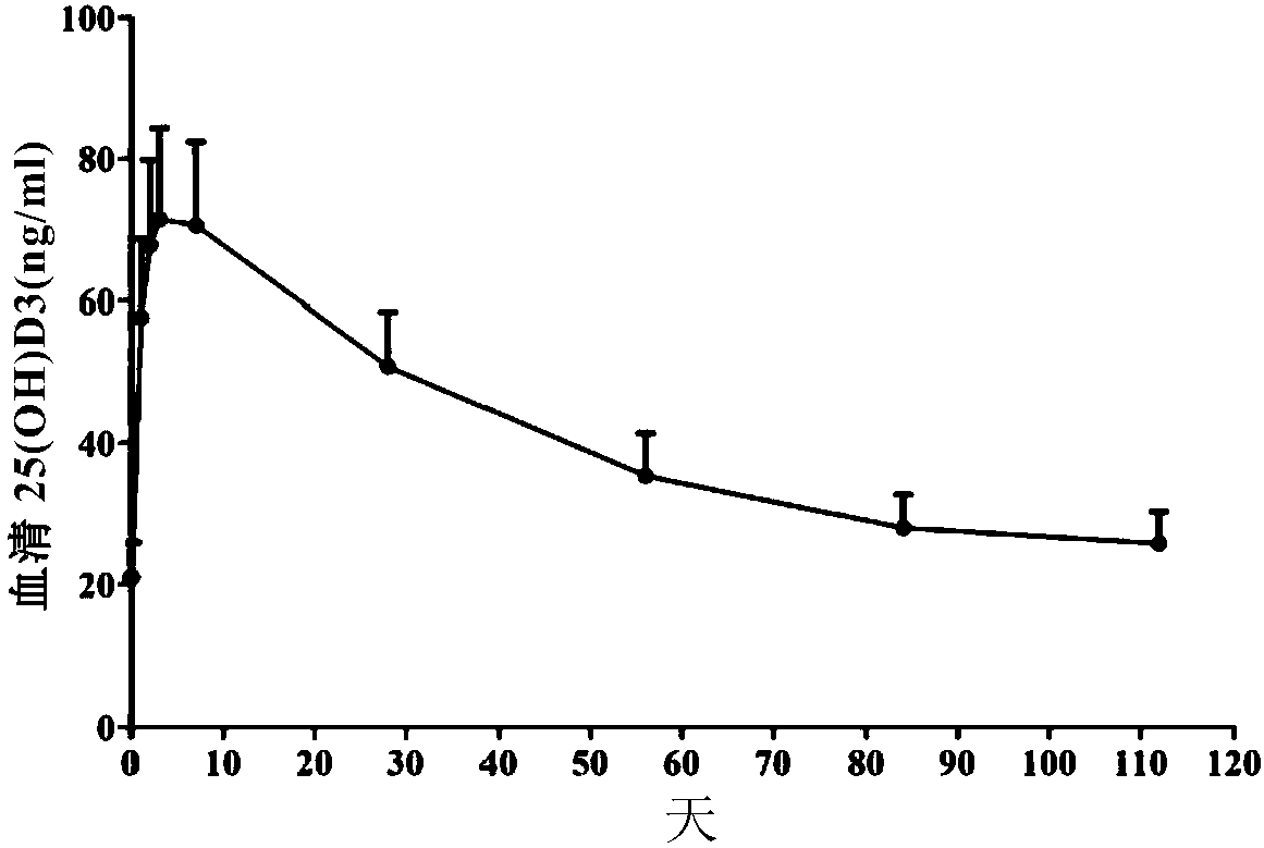 Key vitamin D metabolism related genetic polymorphism combinations and uses