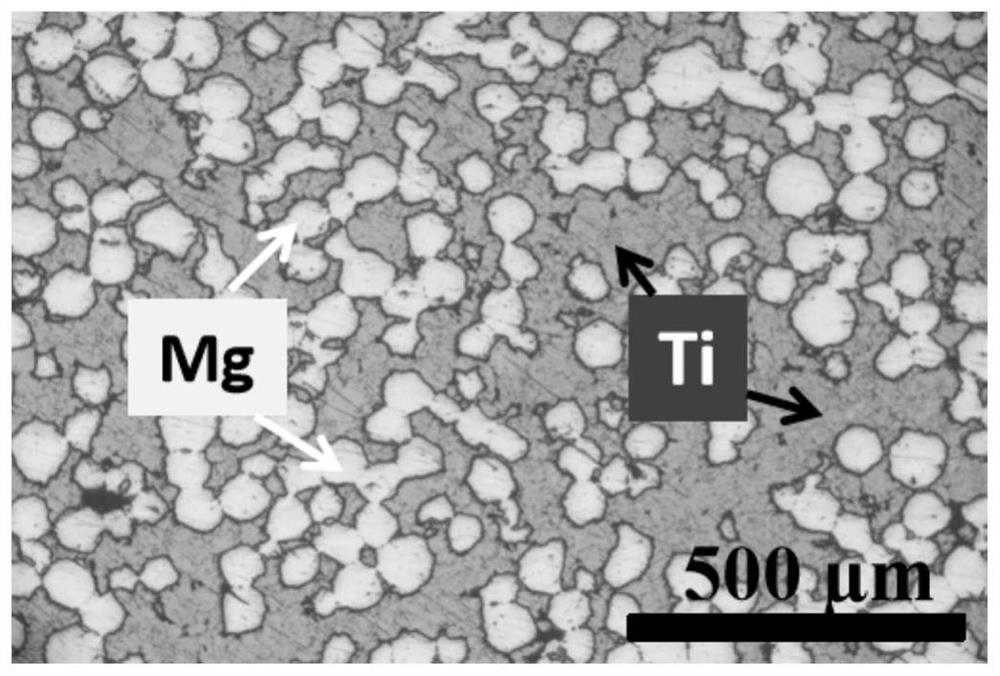 A kind of biconnected structure titanium-magnesium composite material and its preparation method and application