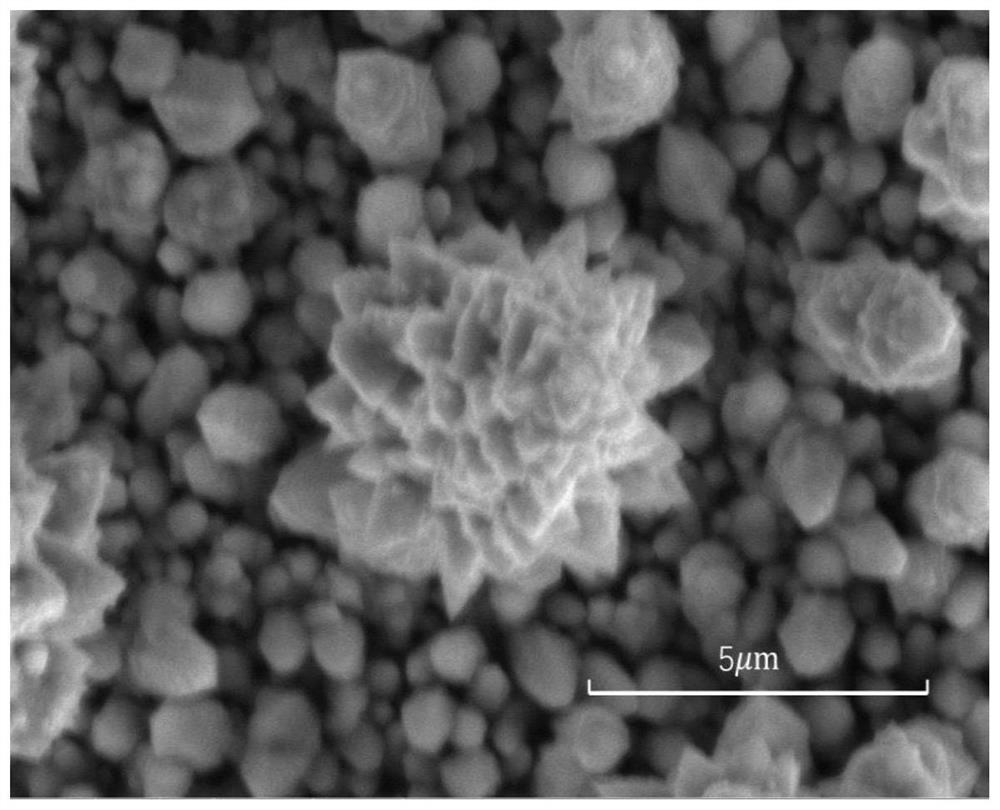 Preparation method and application of modification-free super-hydrophobic copper layer