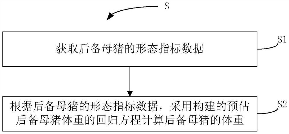 Method for estimating the weight of gilts