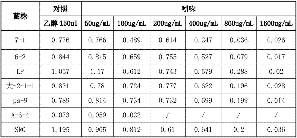 A strain of lactic acid bacteria capable of absorbing or degrading enterotoxin and its application