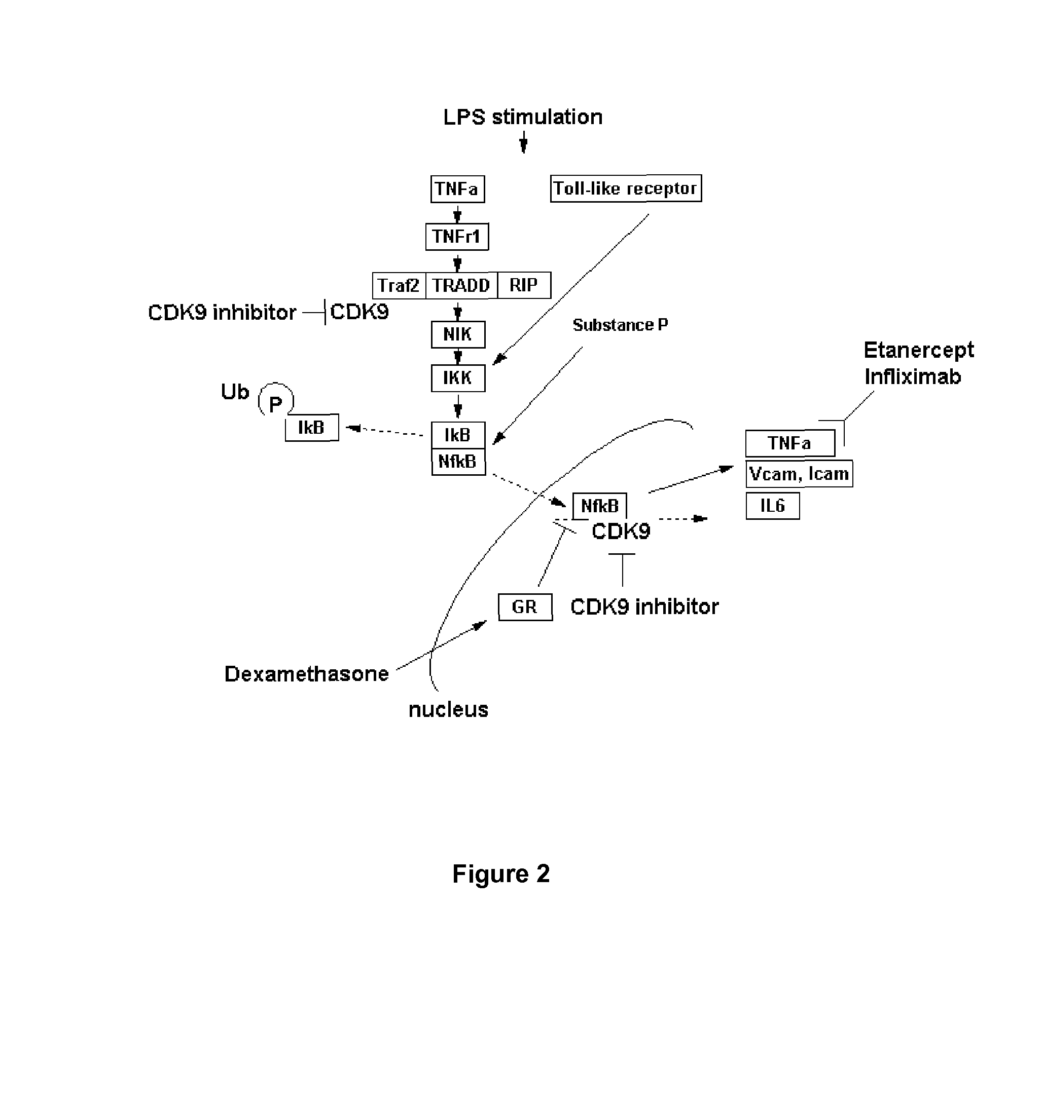 4, 6-disubstituted aminopyrimidine derivatives as inhibitors of protein kinases