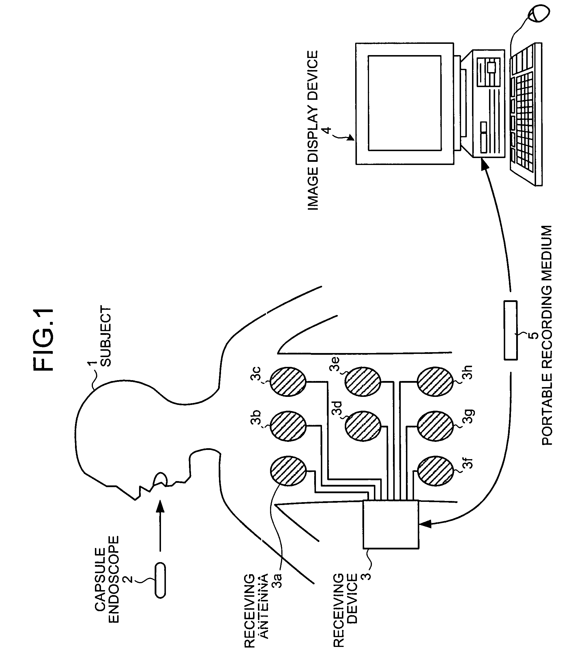 Image display device