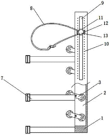 Recovery device for lumbar vertebrae patient