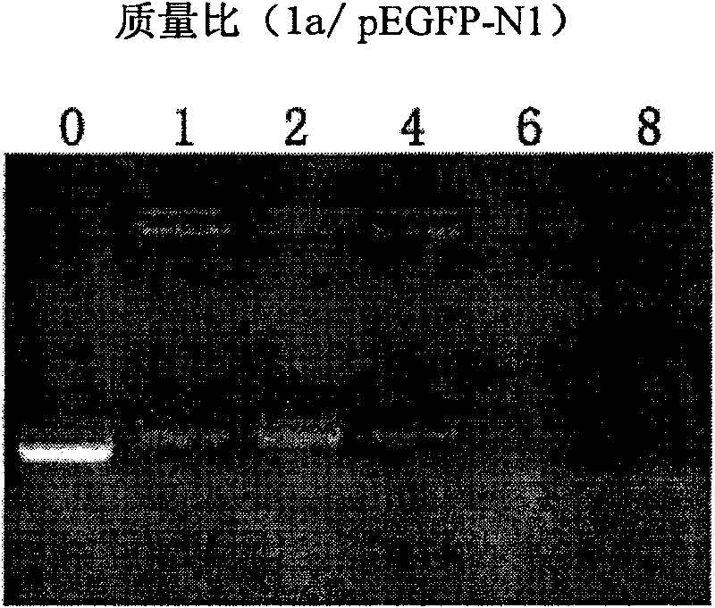 Cation lipid containing imidazolium salt and macrocyclic polyamines, transgenetic vector and method for preparing same