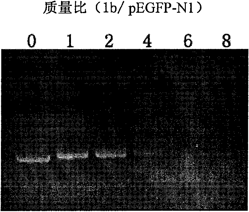 Cation lipid containing imidazolium salt and macrocyclic polyamines, transgenetic vector and method for preparing same