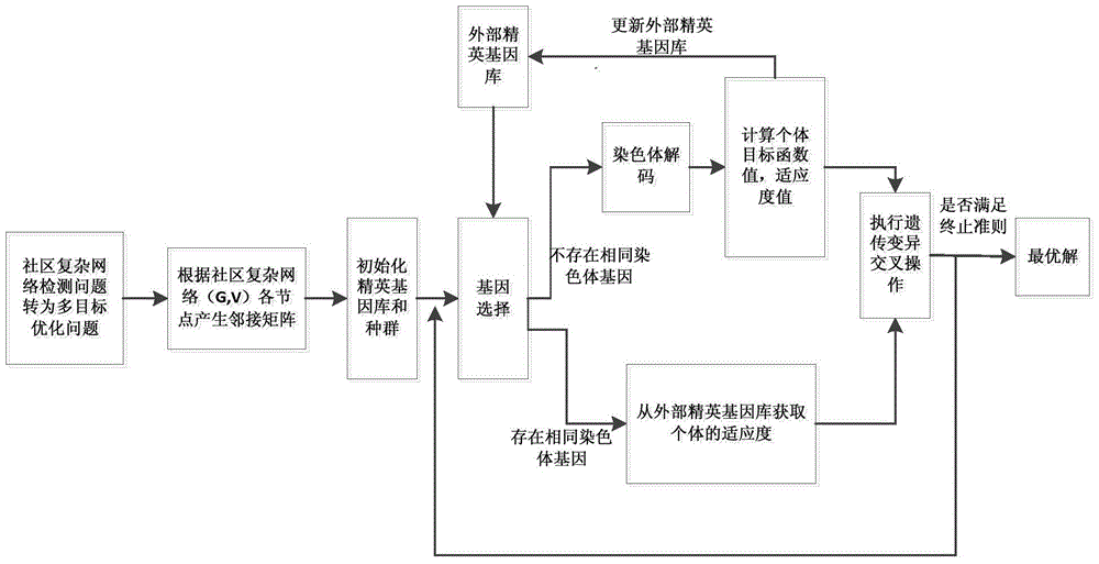 Multi-objective rapid genetic method for community network detection