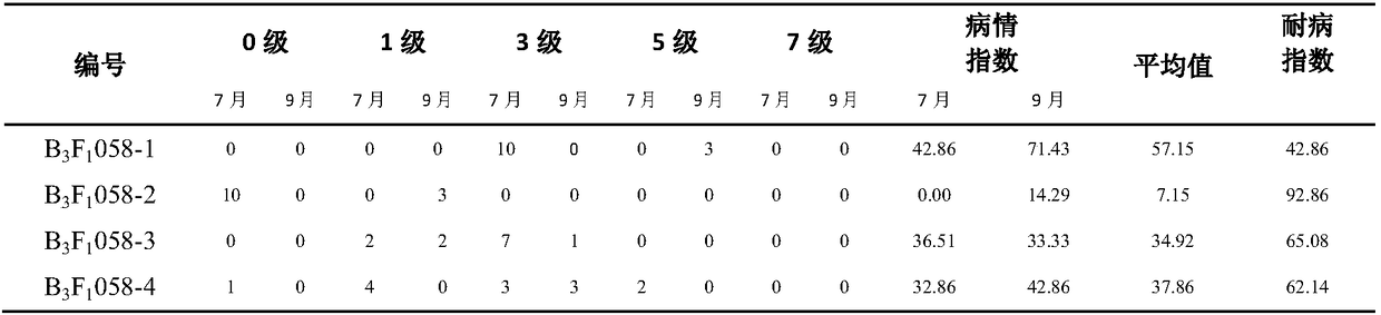 Cultivation method of virus-resistant sweet potato interspecific introgression line