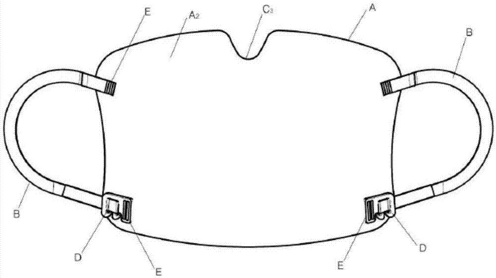 Sanitary mask