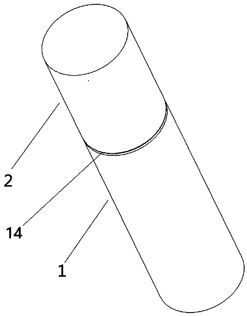 Whole blood HIV detection device and use method thereof