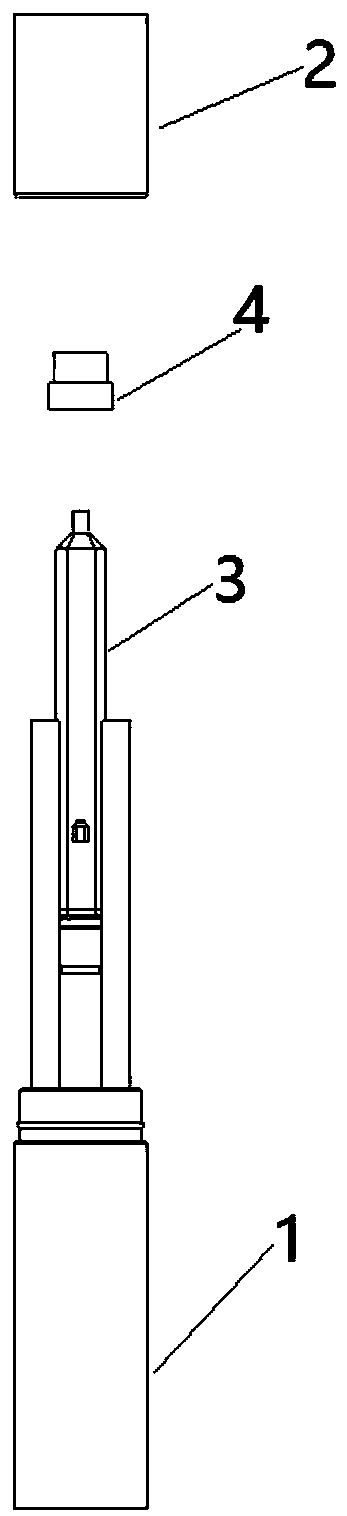 Whole blood HIV detection device and use method thereof