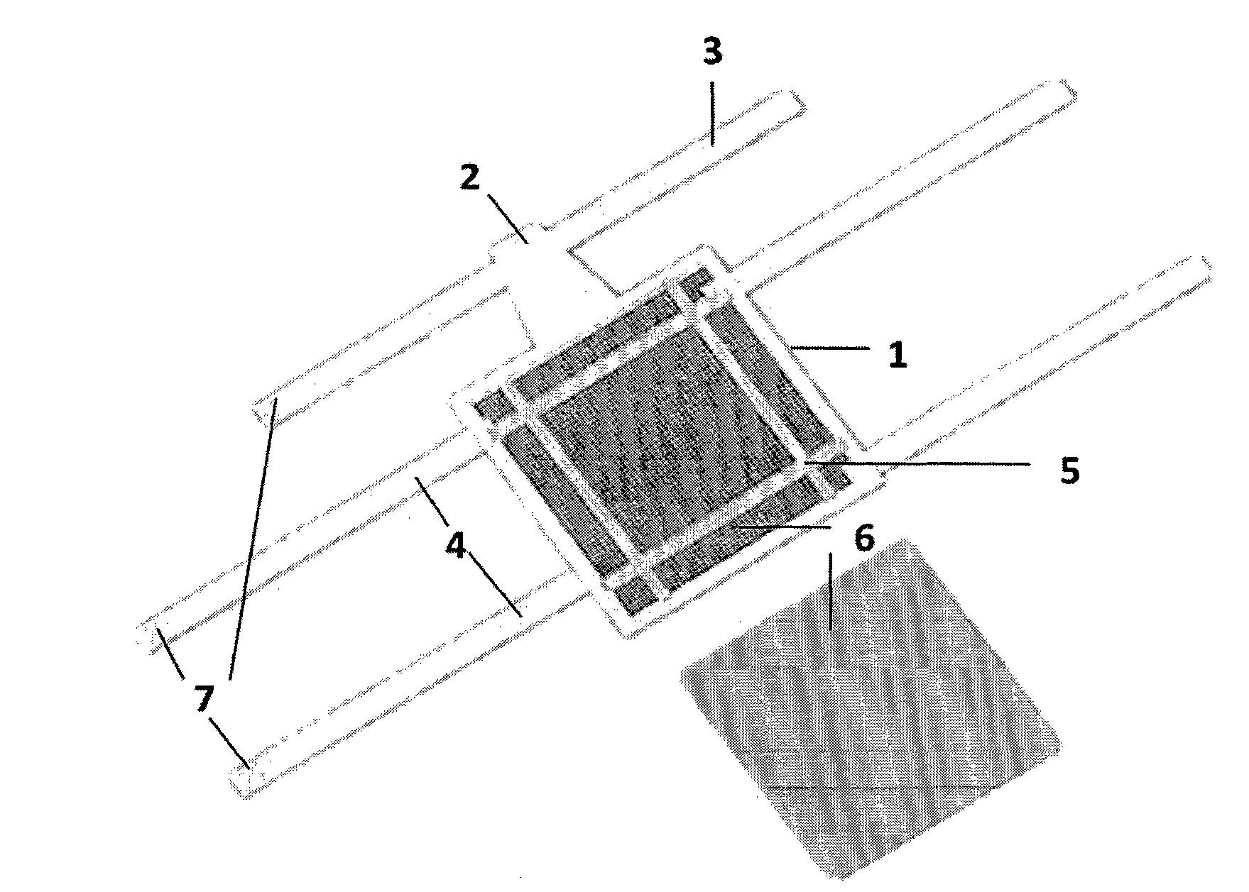 Local drug application (contamination) restraint strap for minipigs