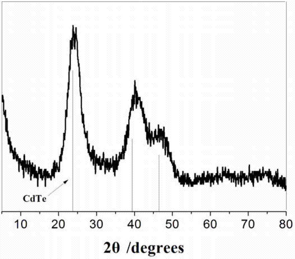 CdX quantum dot and preparation method thereof