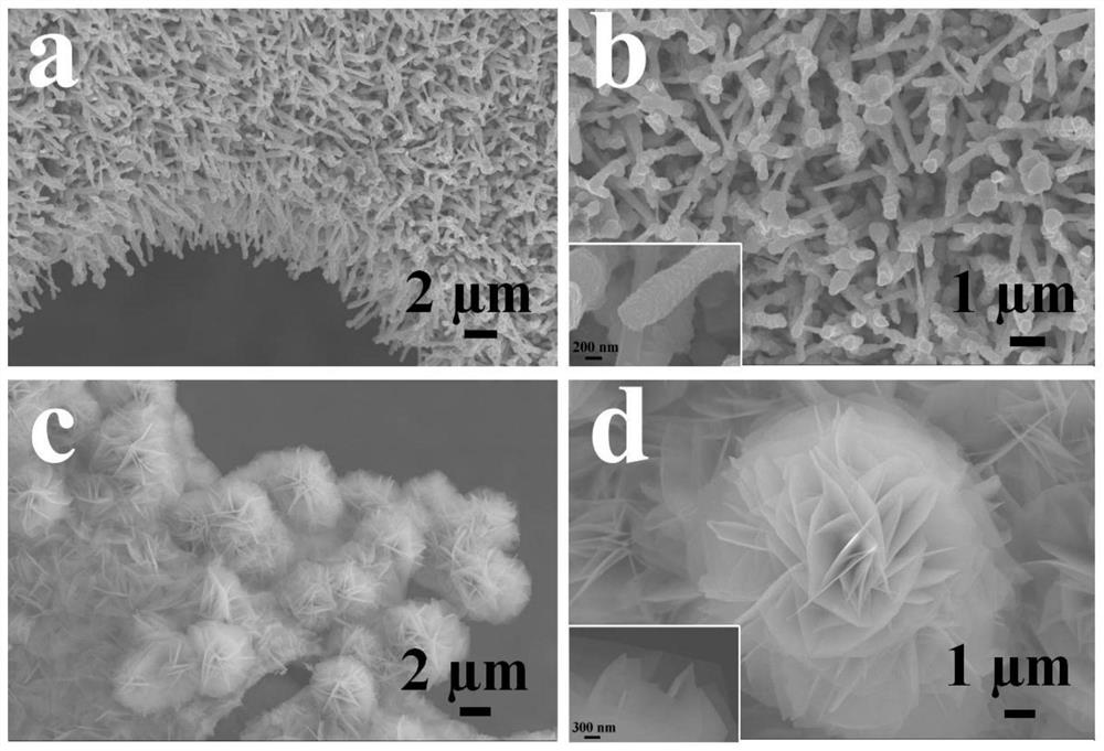 lamellar micro flower-like mos  <sub>2</sub> /ni  <sub>3</sub> the s  <sub>2</sub> /nife-ldh/nf material and its synthesis method and application