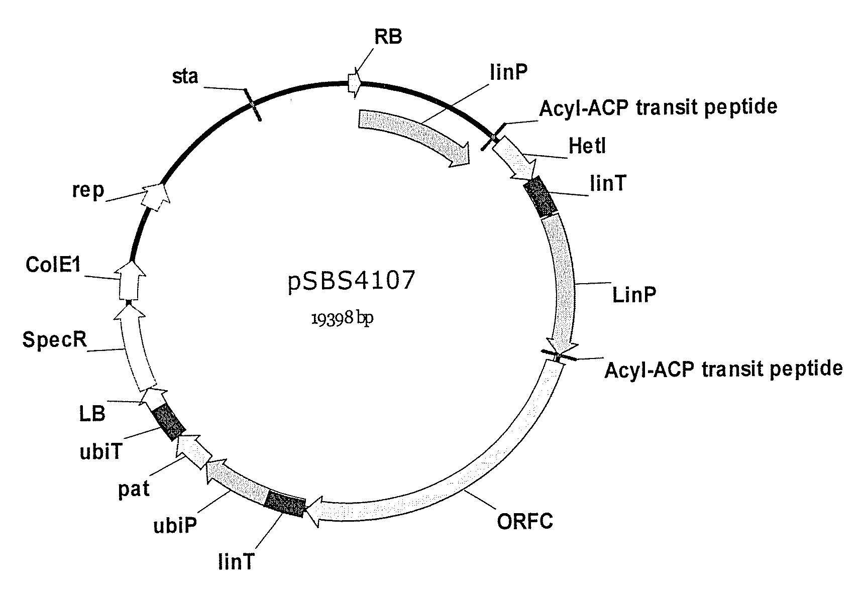 Pufa polyketide synthase systems and uses thereof