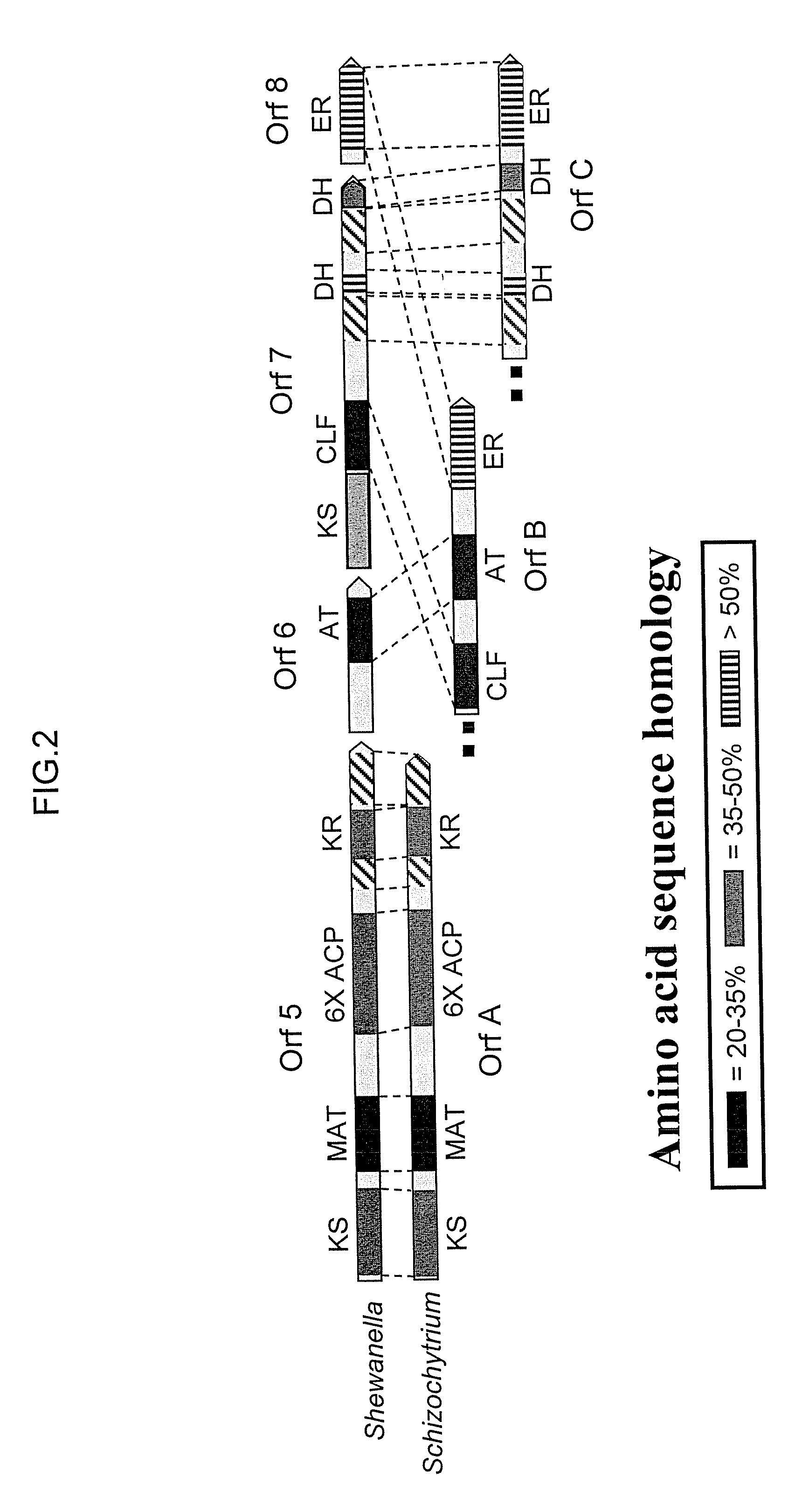 Pufa polyketide synthase systems and uses thereof