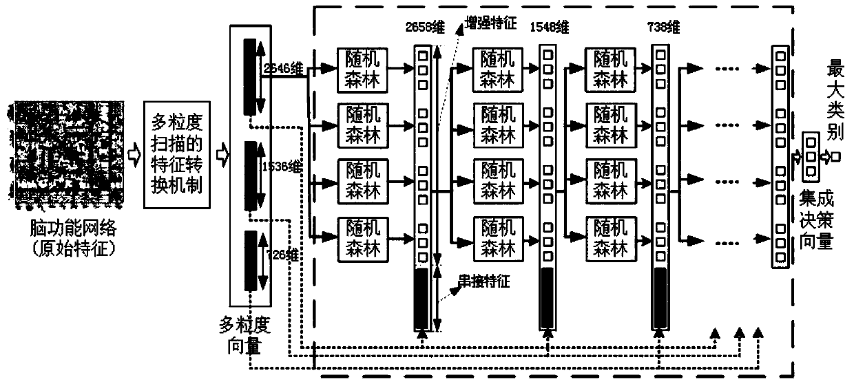 Brain function network classification method based on deep forest