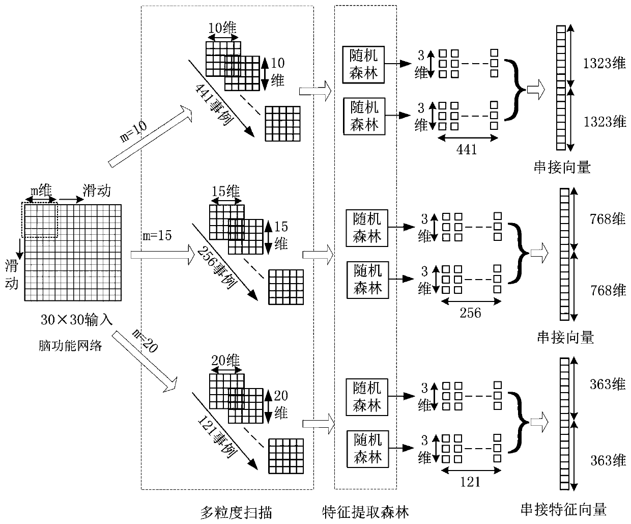 Brain function network classification method based on deep forest