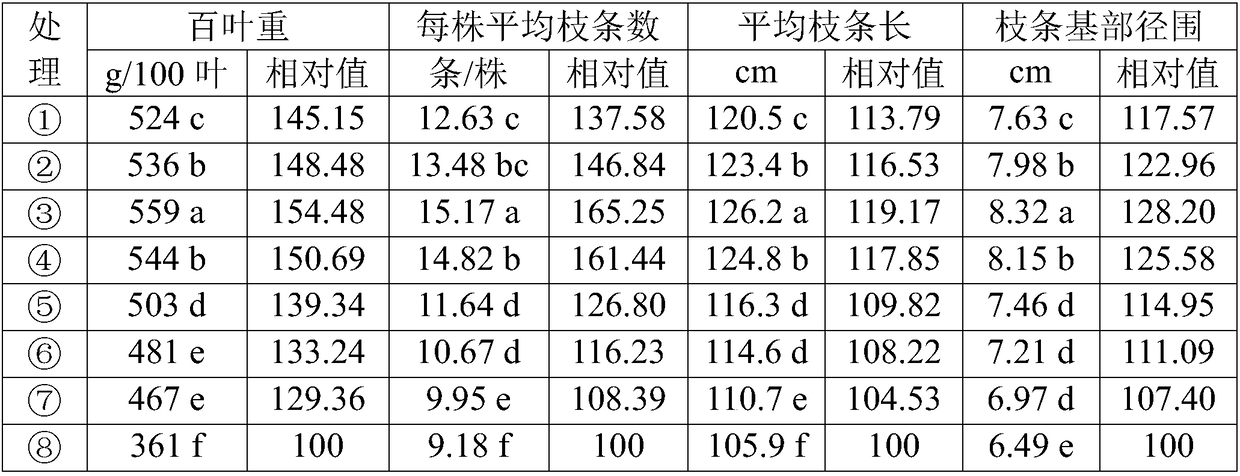 Application of nitrogen-fixing anabaena to promote growth of mulberry tree and increase yield of mulberry leaves