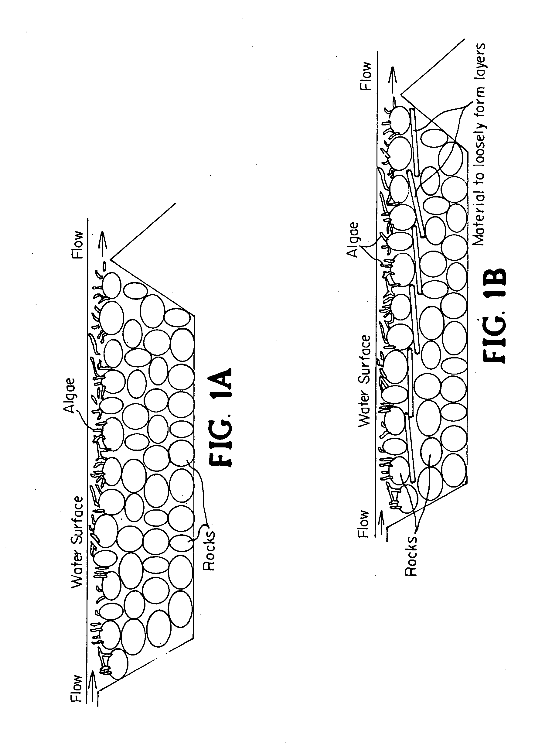 Water treatment plant for combined biomass and biogas production